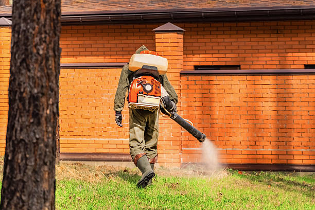 Bed Bug Clearance Verification and Documentation in New Hyde Park